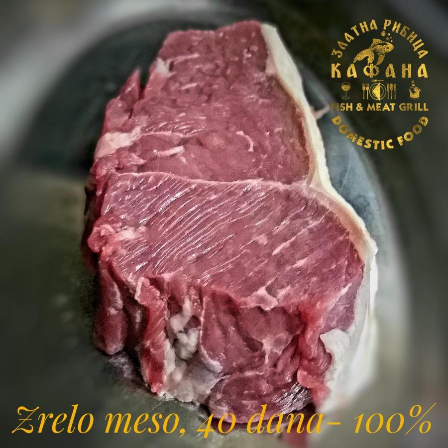 Zlatna Ribica Apartman Galambóc Kültér fotó